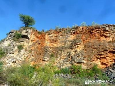 Meandros Río Lozoya-Pontón de la Oliva;actividad vespertina; rutas por la selva de irati ruta cost